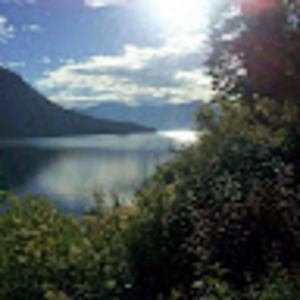 Meet your Posher, Molly